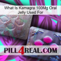 What Is Kamagra 100Mg Oral Jelly Used For 38